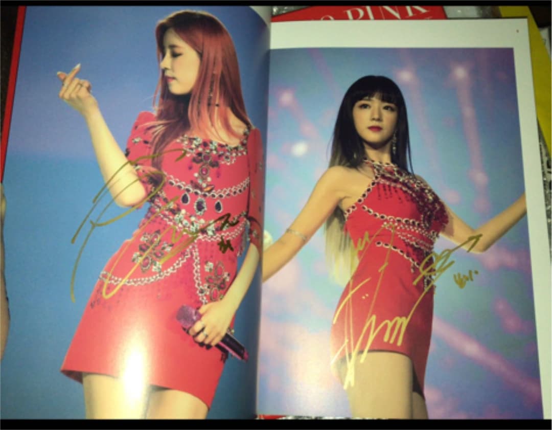 apink サイン　直筆　公式DVD サイン2箇所