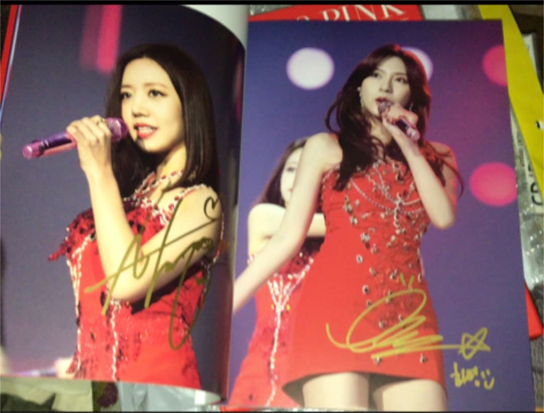 apink サイン　直筆　公式DVD サイン2箇所
