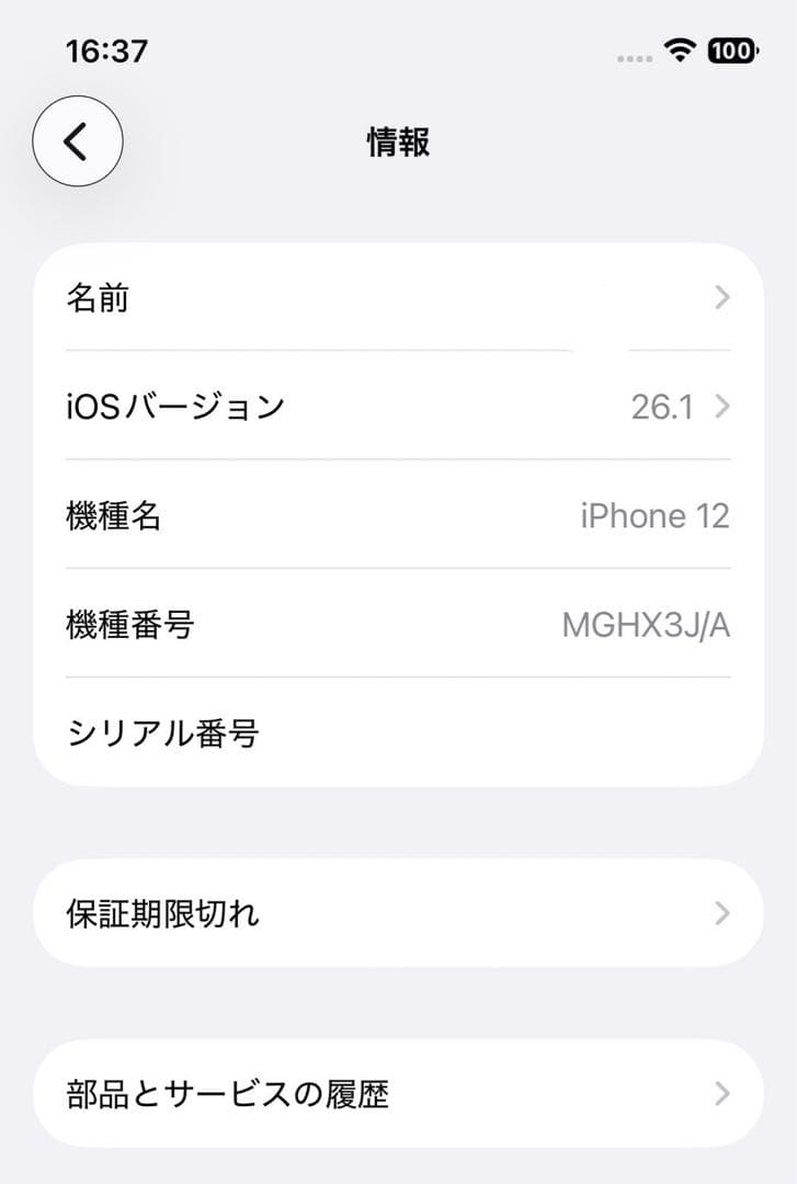 Apple iPhone12 ブルー
