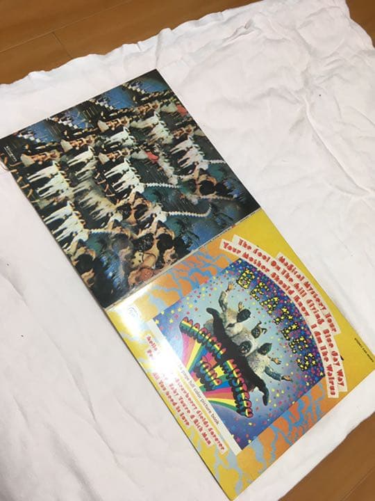 ビートルズ・サザン・ドゥーリーズ レコードセット