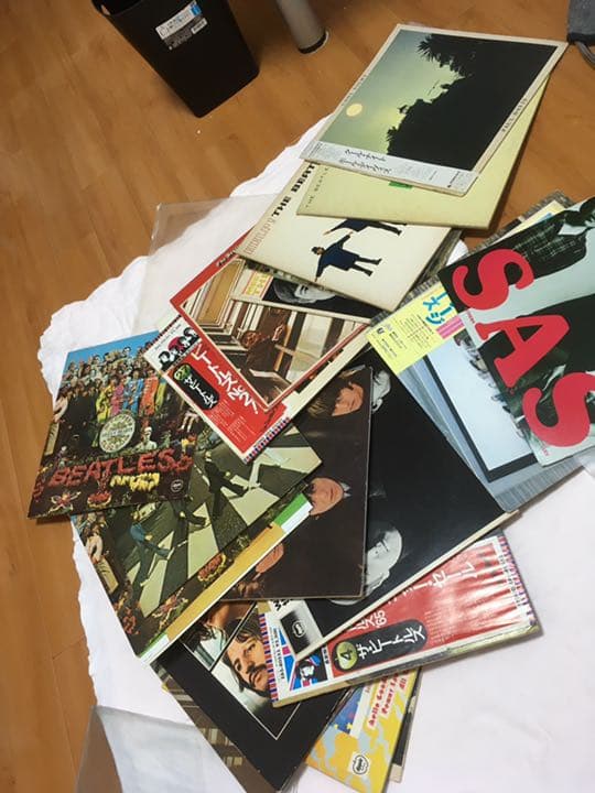 ビートルズ・サザン・ドゥーリーズ レコードセット