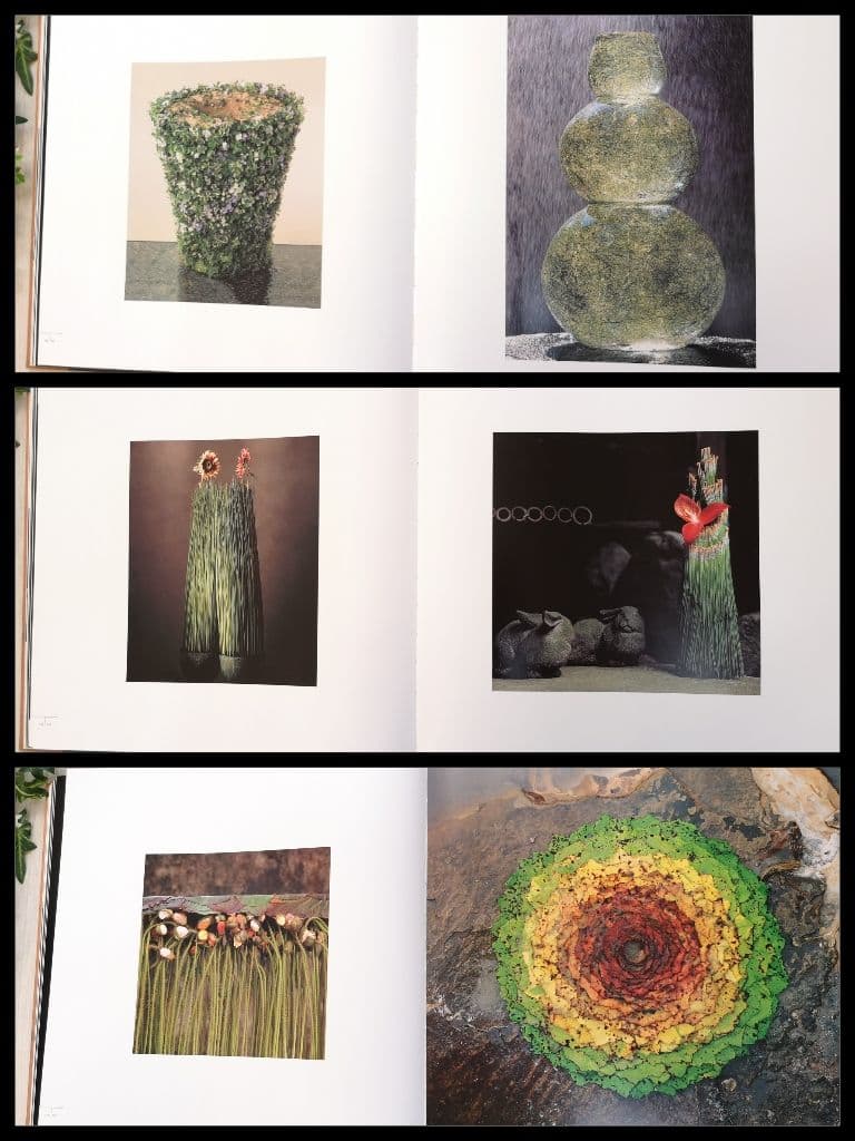 ★ ダニエル・オスト 「 LEAFING THROUGH FLOWERS 」★