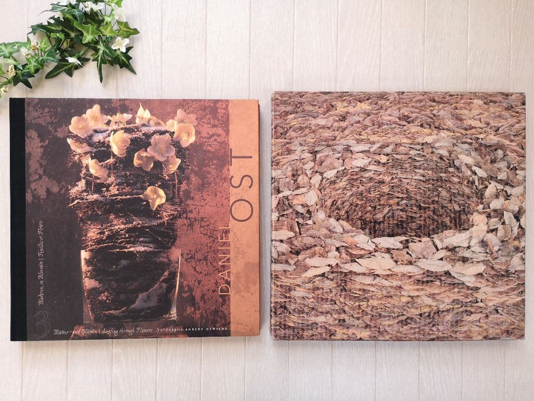 ★ ダニエル・オスト 「 LEAFING THROUGH FLOWERS 」★