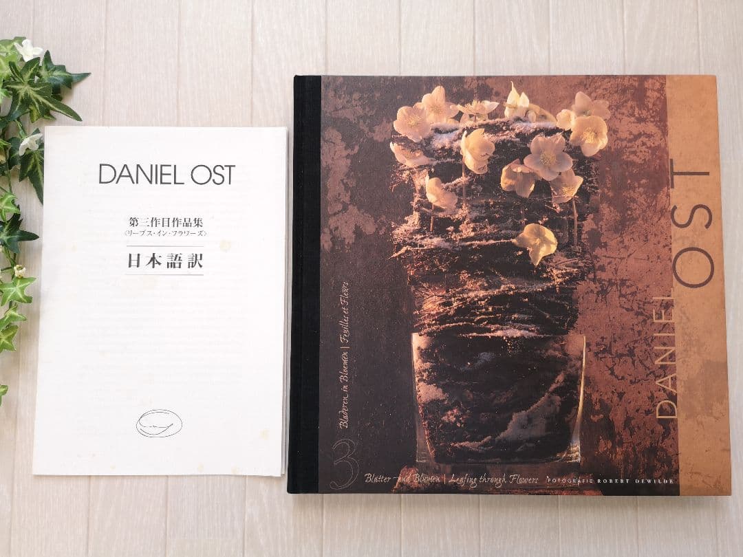 ★ ダニエル・オスト 「 LEAFING THROUGH FLOWERS 」★