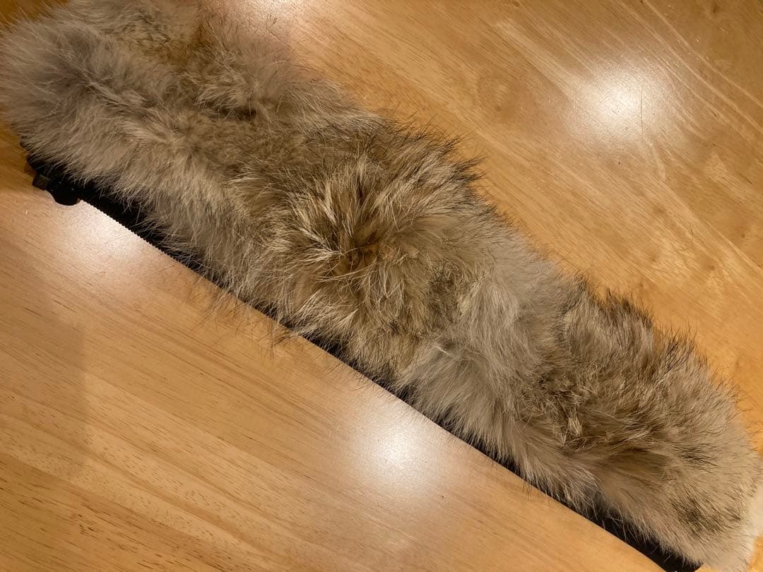 カナダグース   ファーのみ　天然コヨーテ　正規品