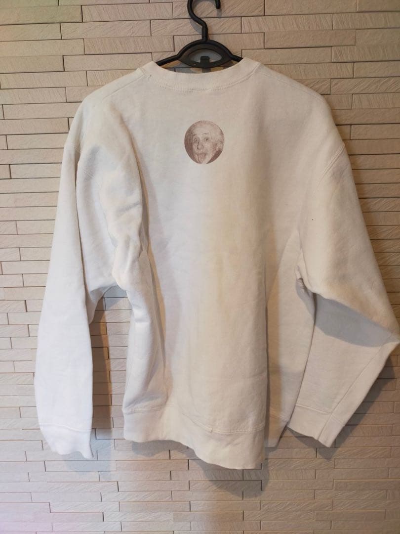 スウェット　古着　ビンテージスウェット　90s アインシュタイン　フルーツ　偉人