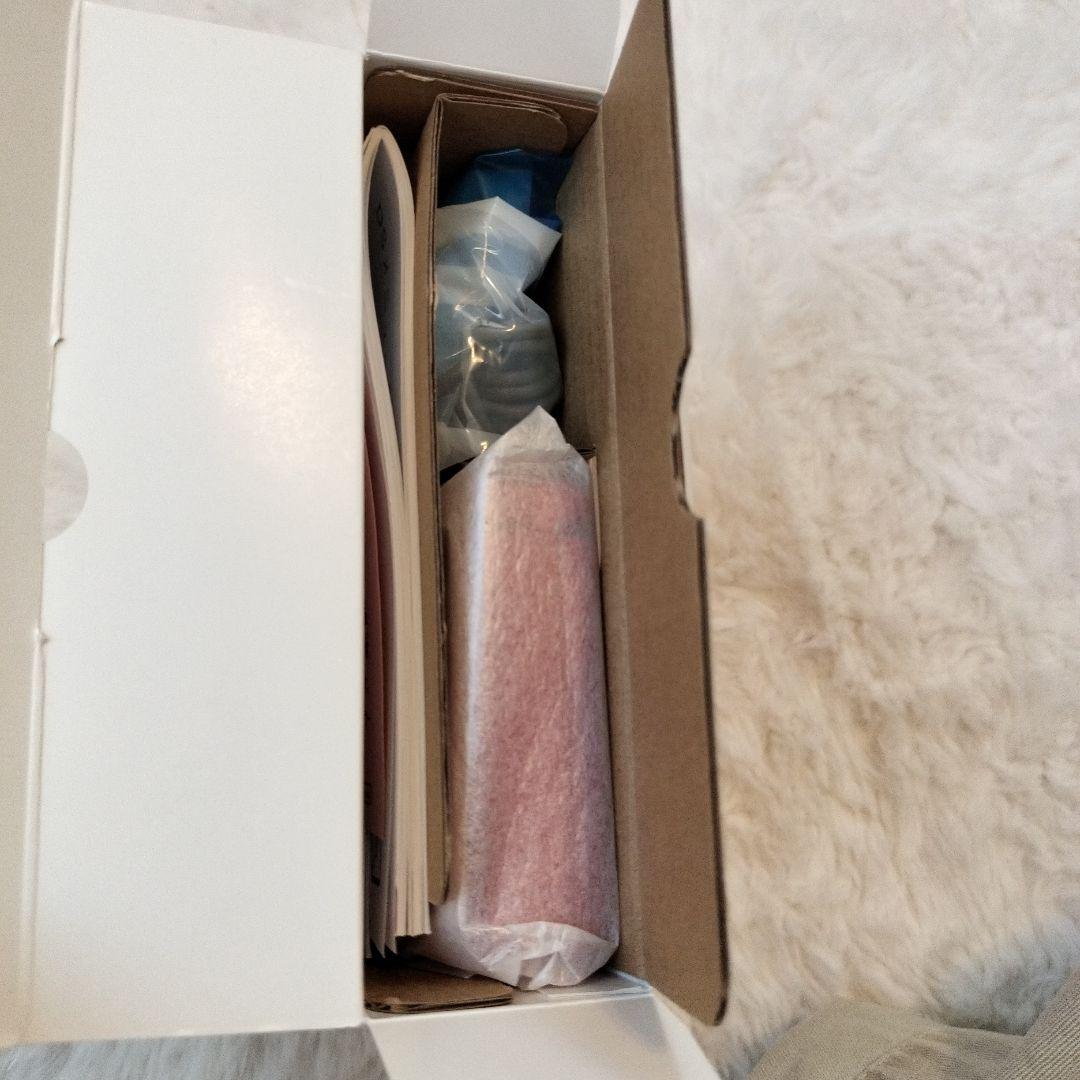 年賀オリジナル ニンテンドーDS Lite 本体 レッド 赤 非売品