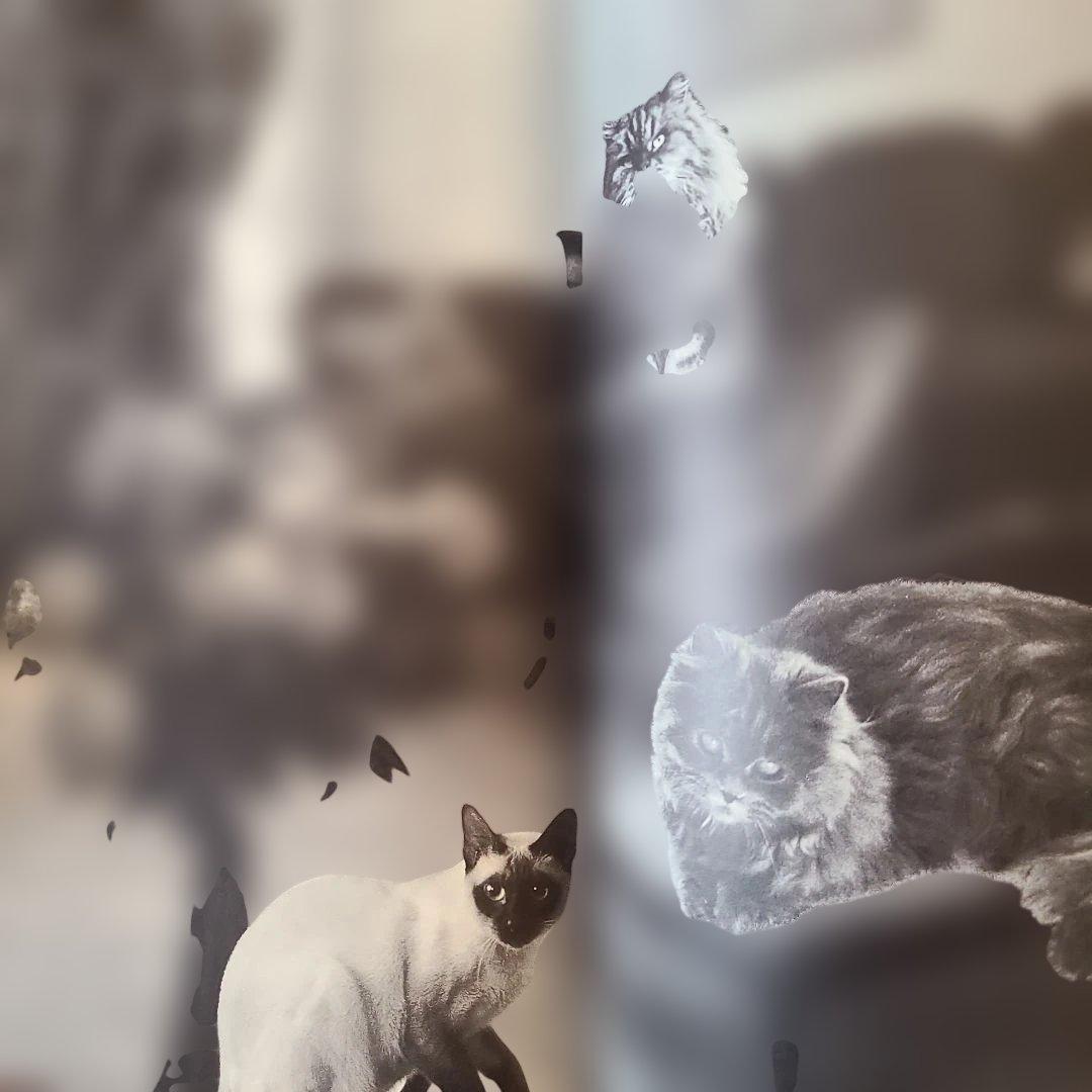 【415】LEONOR FINI レオノ－ル.フィニ　美術関係書