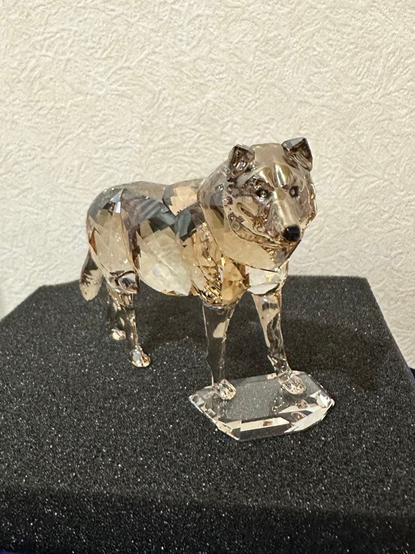 Swarovski 2019年度 SCS限定品 ハイイロオオカミ 5428544