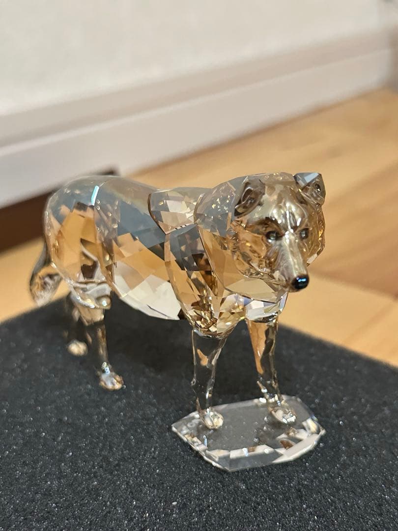 Swarovski 2019年度 SCS限定品 ハイイロオオカミ 5428544
