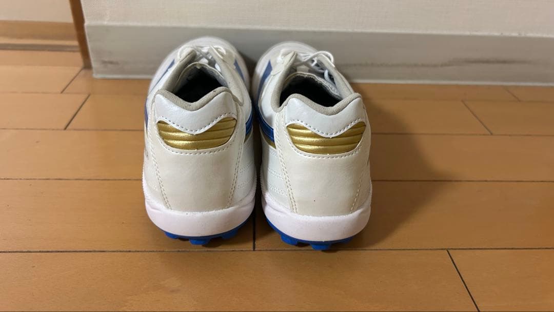 モレリア サラ tf ジャパン