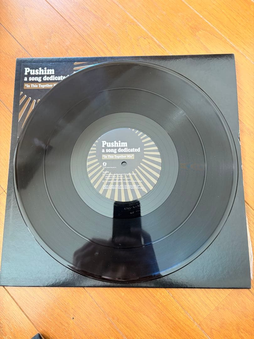 【美品レア盤】Pushim/ a song dedicated