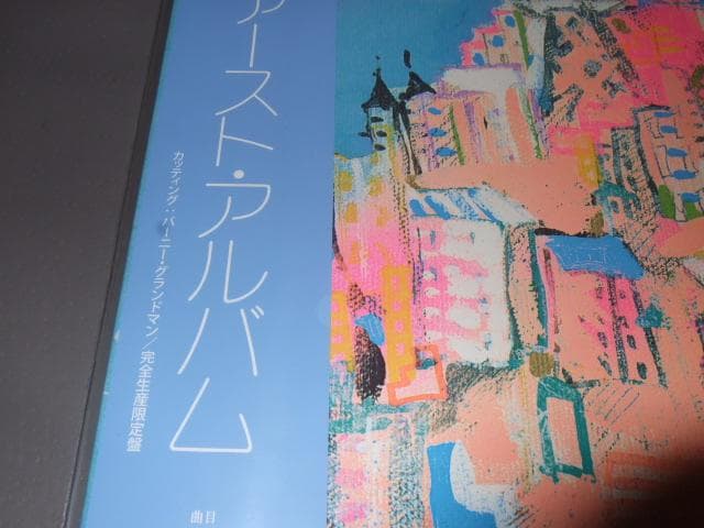 国分友里恵,新品,アナログ盤,レコード,林哲司,シティポップ