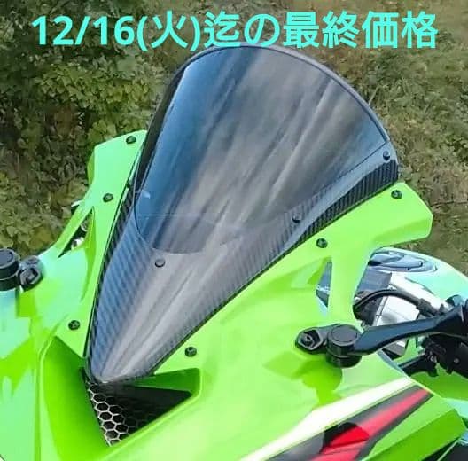 【美品】ZX-25R マジカルレーシング 綾織り艶ありカーボンスモークスクリーン