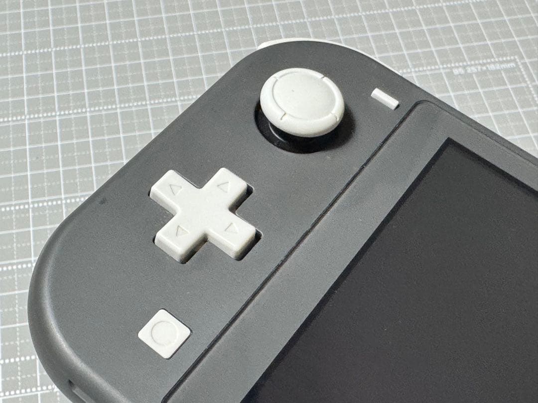 Nintendo Switch Lite グレー 本体 HORIケース付き