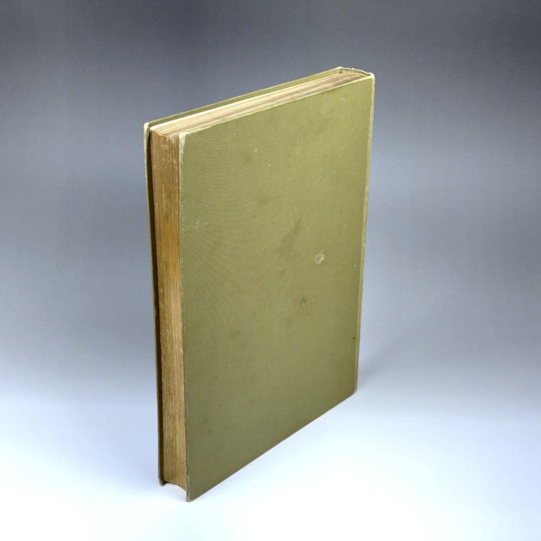 英国手彩色蝶類図譜 「英国とヨーロッパの蝶と蛾」 カービー 1895年 イギリス