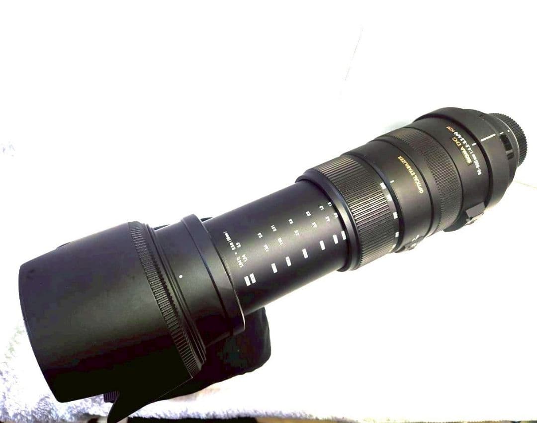 SIGMAシグマAPO50-500mmF4.5-6.3 DGOS HSMニコン用