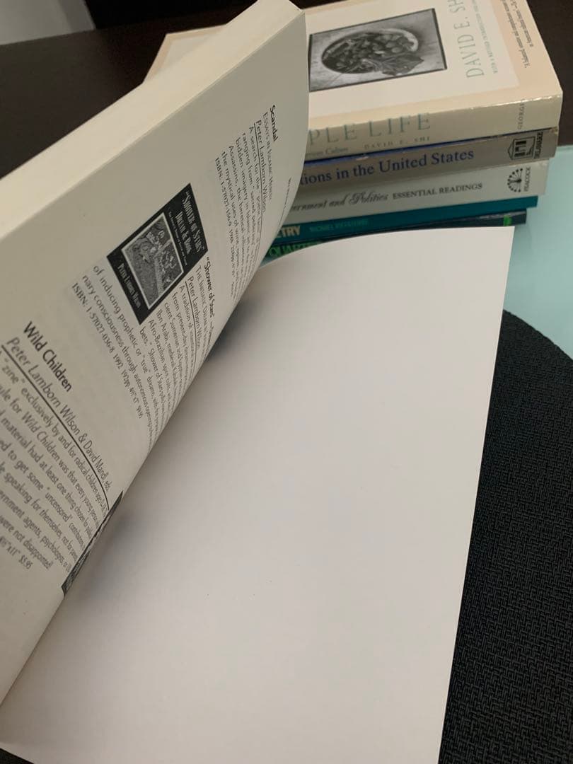 希少　Hakim Bey Black Fez Manifesto, &c.