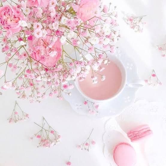 確認用です。⁠◕⁠‿⁠◕⁠。