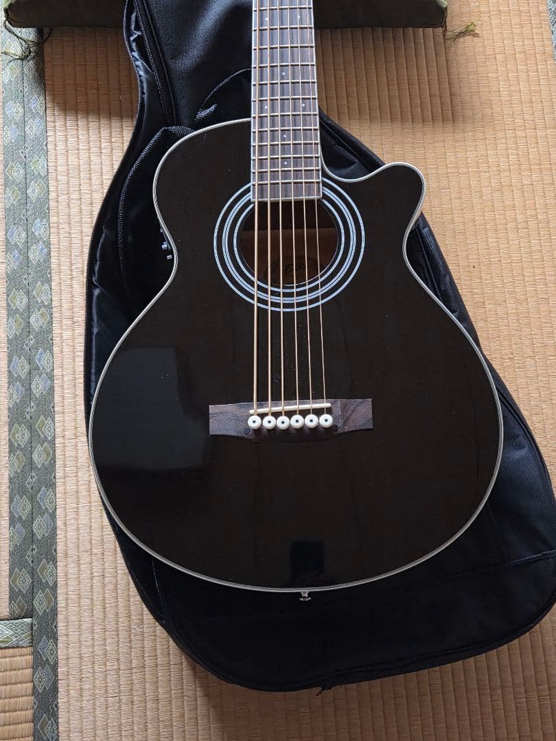 ELK ACOBE6/6弦アコースティックベース