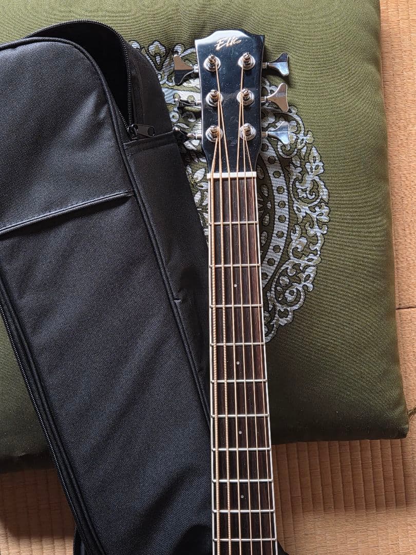 ELK ACOBE6/6弦アコースティックベース