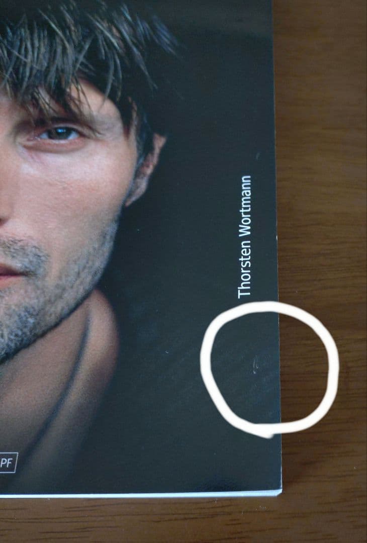 DIE ILLUSTRIERTE BIOGRAFIE　マッツ・ミケルセン