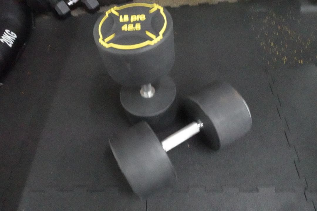 TPUダンベル　32.5kg 2個　計　75㎏