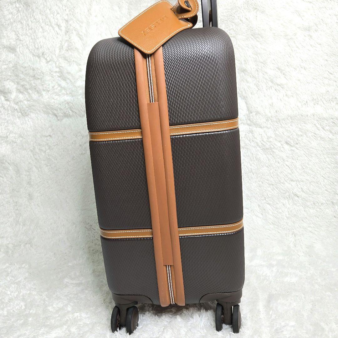 本日限定✨ デルセー スーツケース 機内持ち込み可 ブラウン キャメル