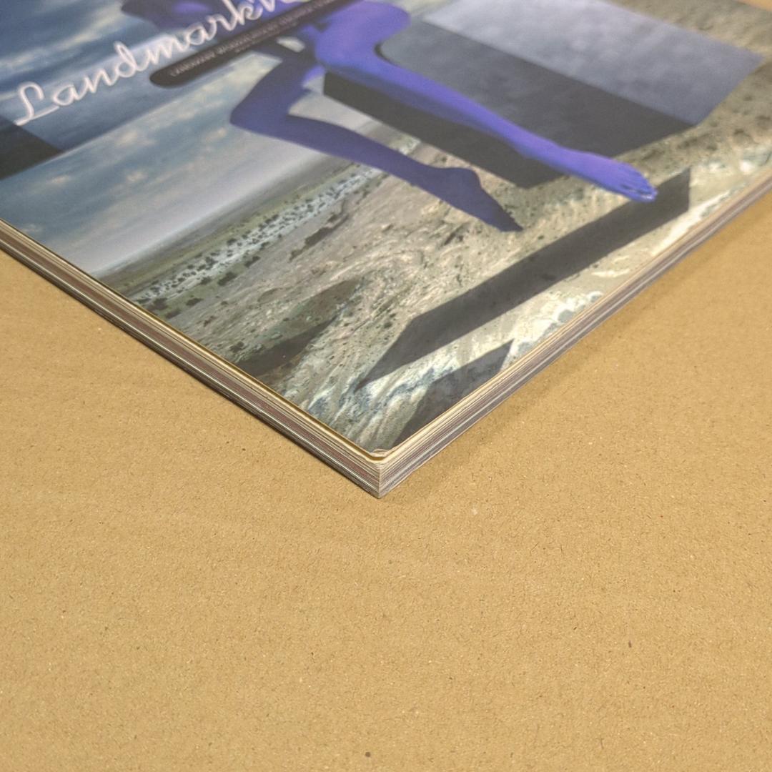 D*1様 D.D.D. vol.0011 超絶的アート＆モデルマガジン