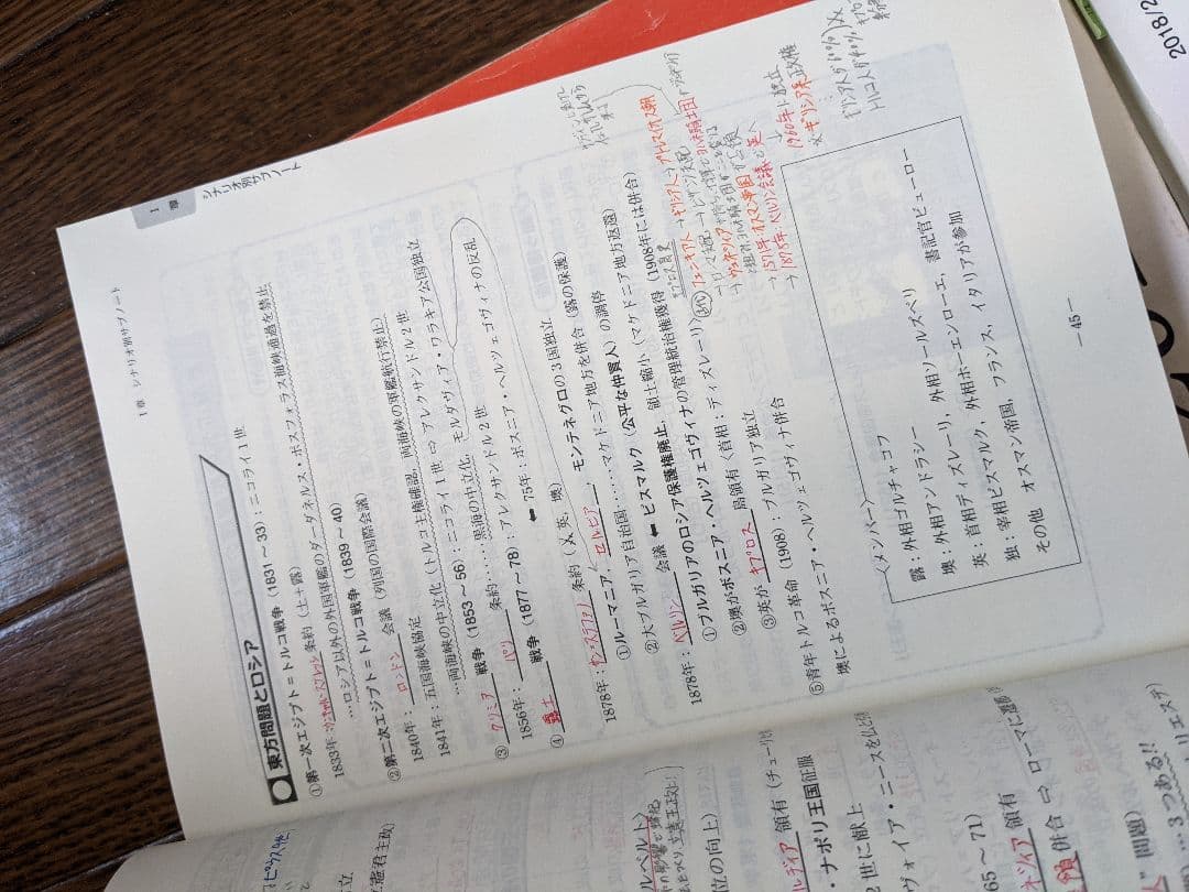 代ゼミ 佐藤幸夫 早慶上智 世界史 板書付テキスト