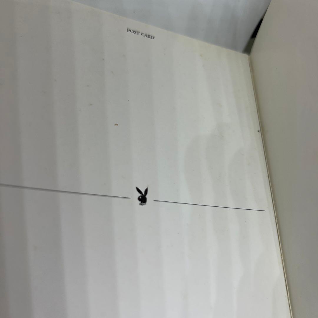 プレイボーイ　カバーコレクション　ポストカードブック vol1 vol2