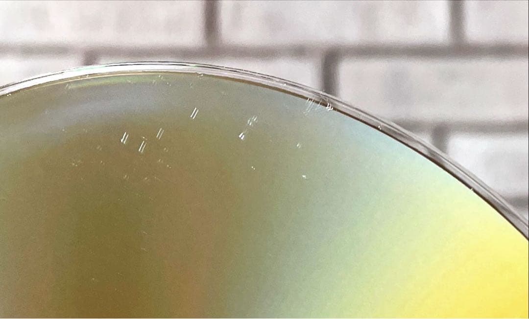 はみだし刑事情熱系 PART6 コレクターズDVD デジタルリマスター版　5枚組