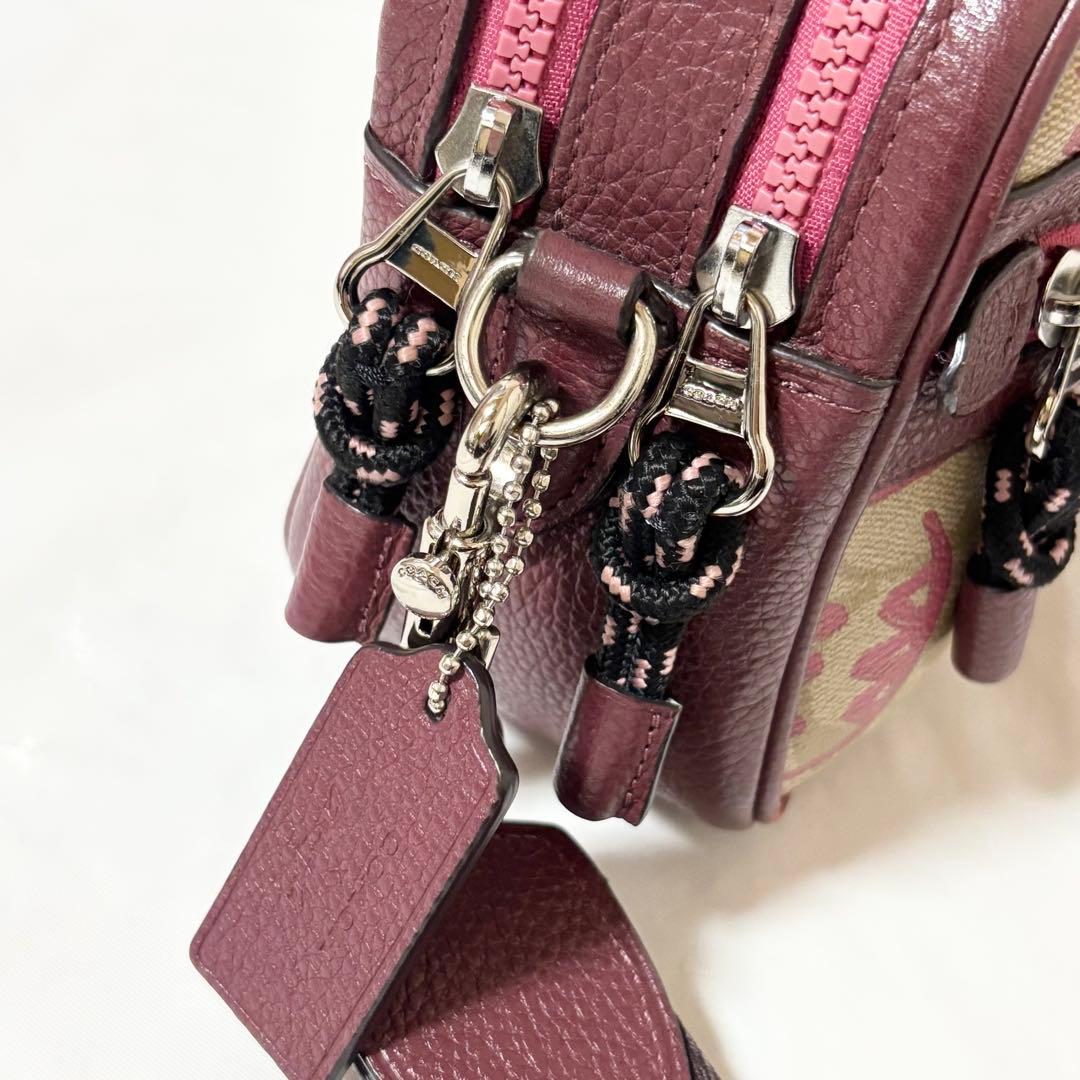 専用❗️COACH・レザー ショルダーバッグ斜め掛け Guang Yuコラボ限定品