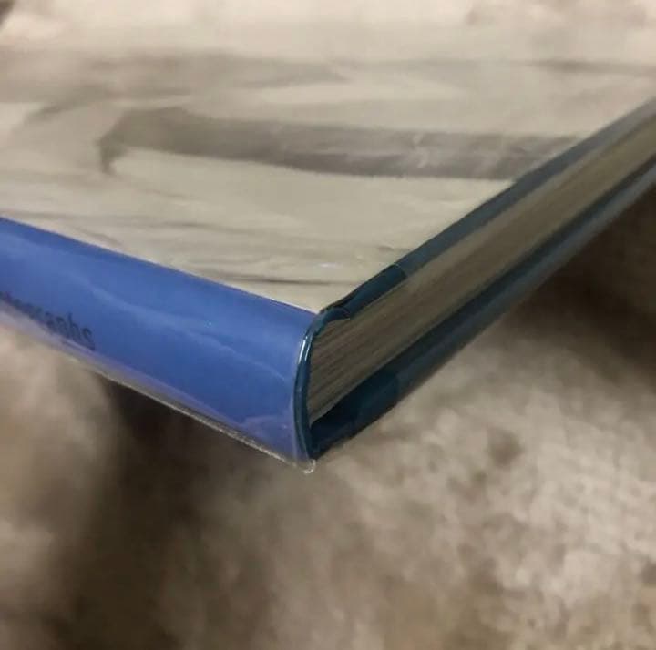 STEVE McQUEEN スティーブマックイーン 洋書 写真集