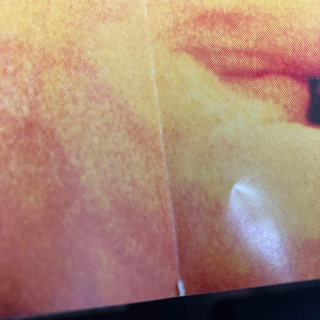 【希少/帯付多数】マイケル・シェンカー・グループ LPレコード 5枚セットMSG