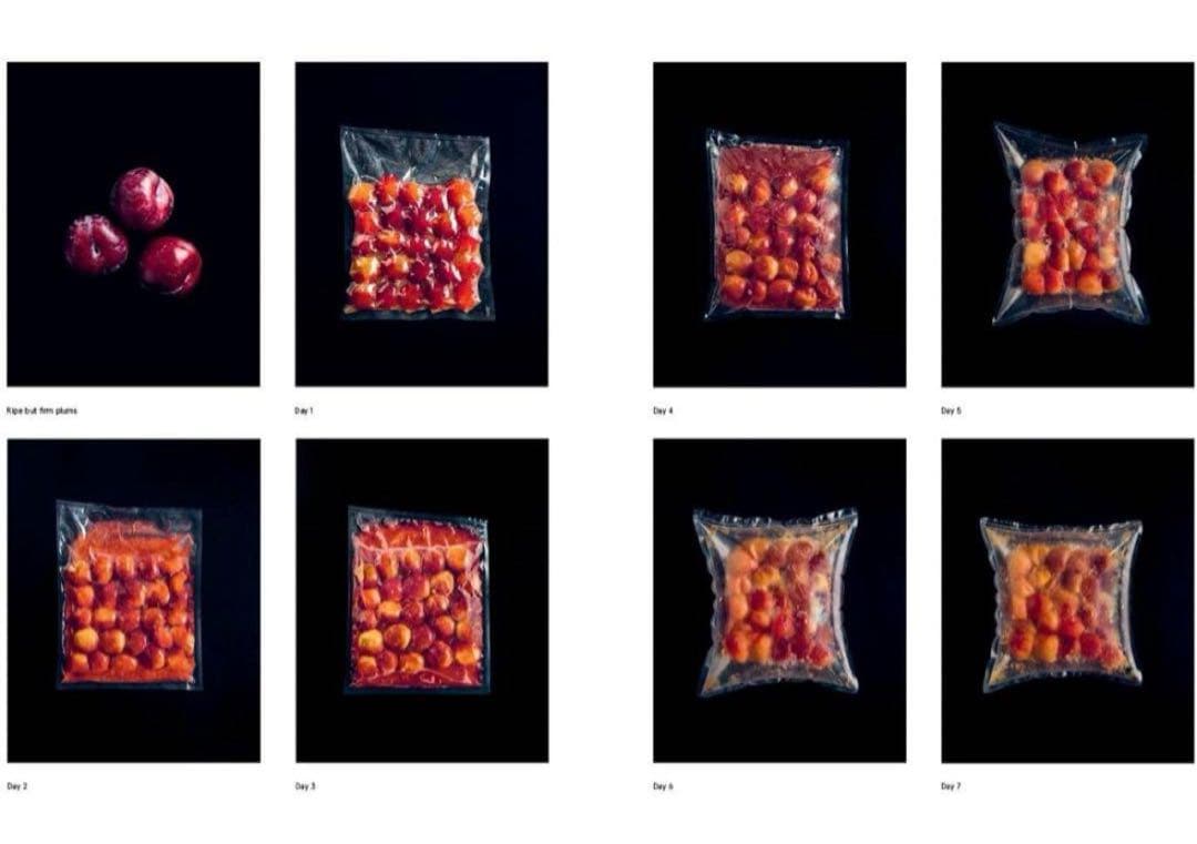 The Noma Guide to Fermentation ノーマの発酵ガイド