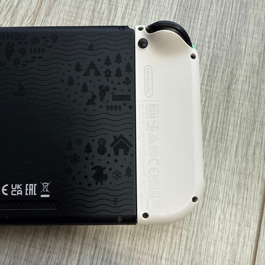 Nintendo Switch あつまれ どうぶつの森デザイン　ソフトなし