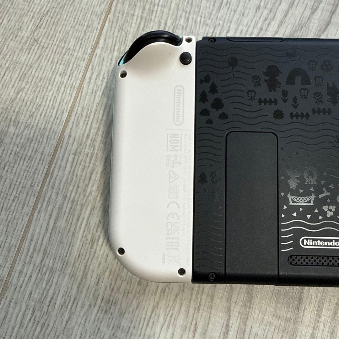 Nintendo Switch あつまれ どうぶつの森デザイン　ソフトなし