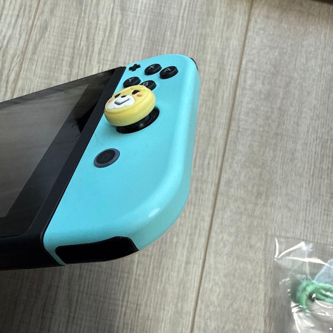 Nintendo Switch あつまれ どうぶつの森デザイン　ソフトなし