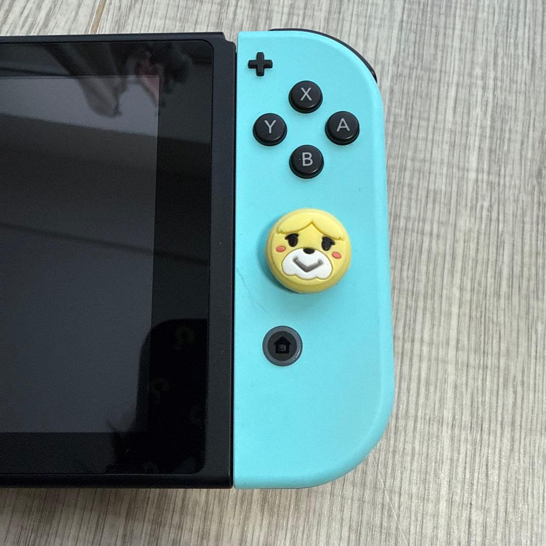 Nintendo Switch あつまれ どうぶつの森デザイン　ソフトなし