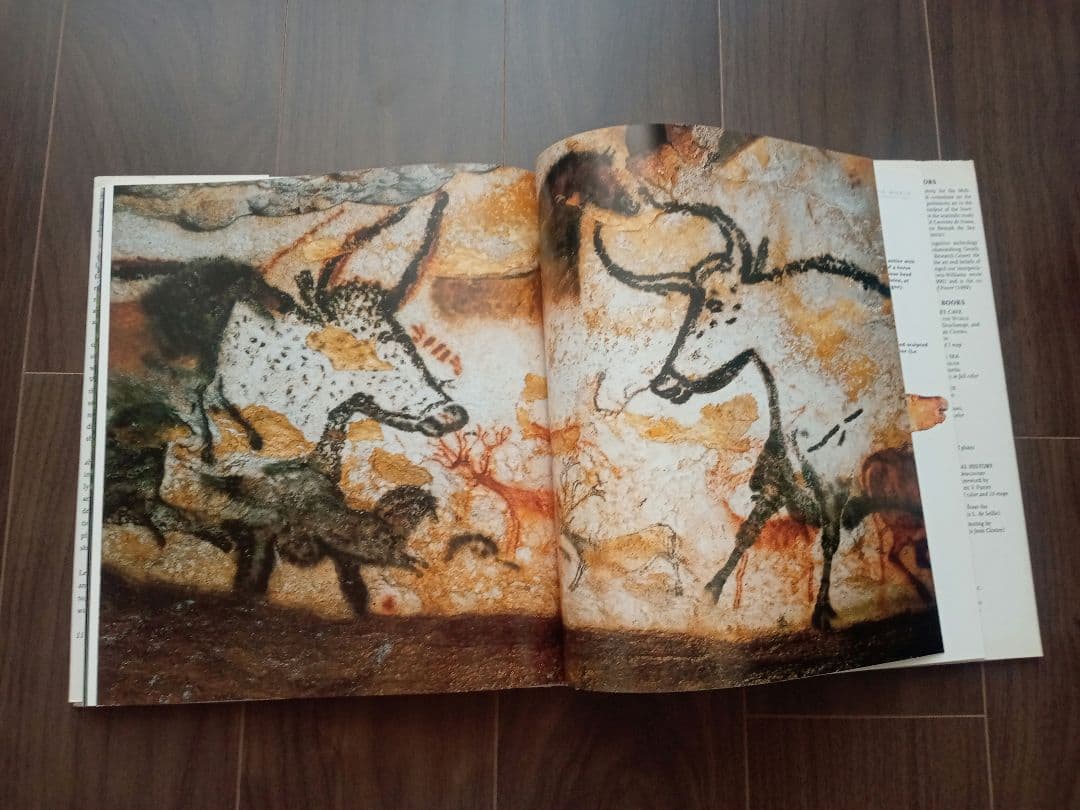 【りゅうおまとめ購入】The Shamans of Prehistory