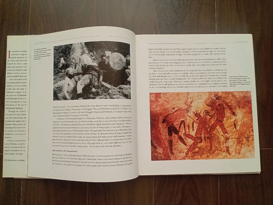 【りゅうおまとめ購入】The Shamans of Prehistory