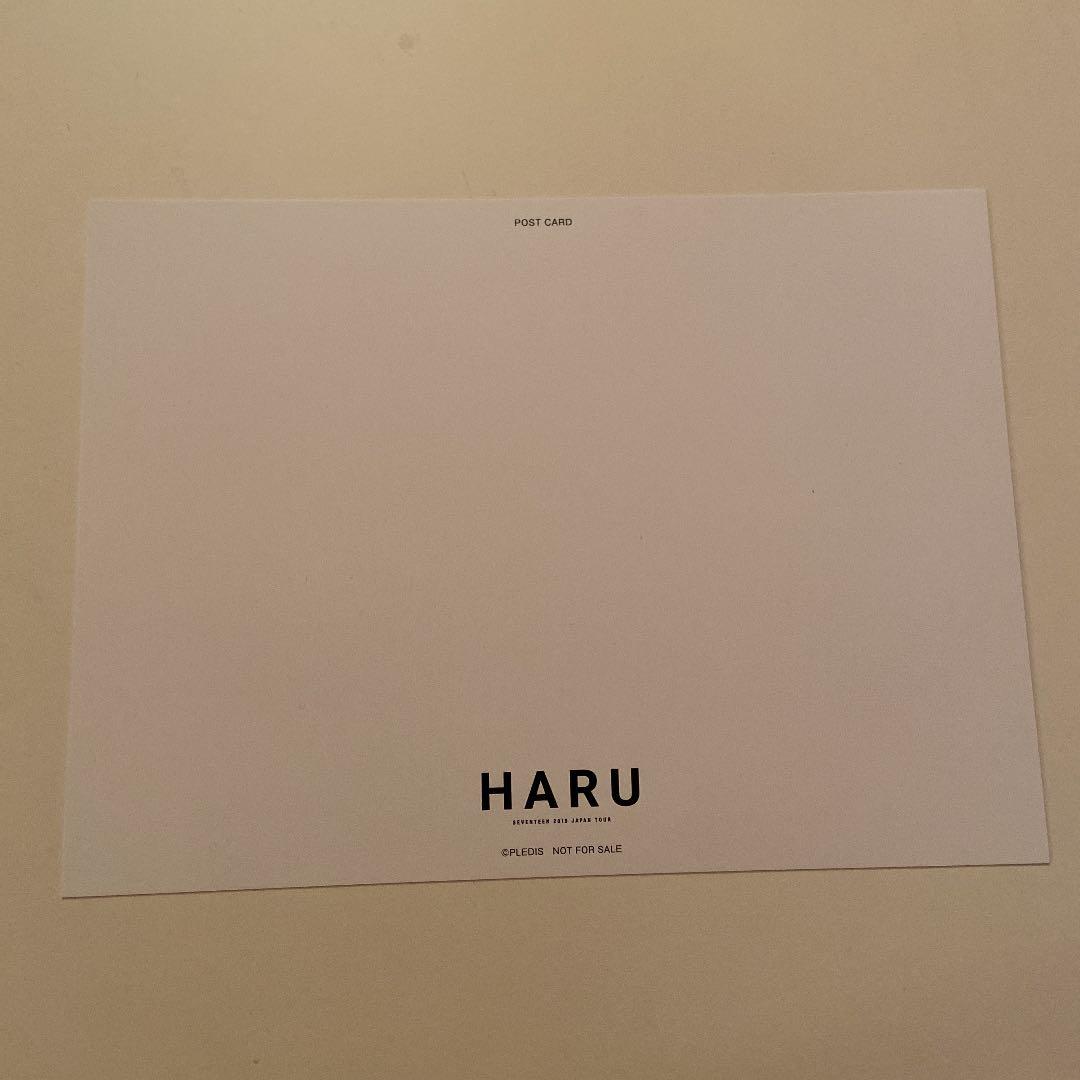 SEVENTEEN HARU DVD トレカ無し