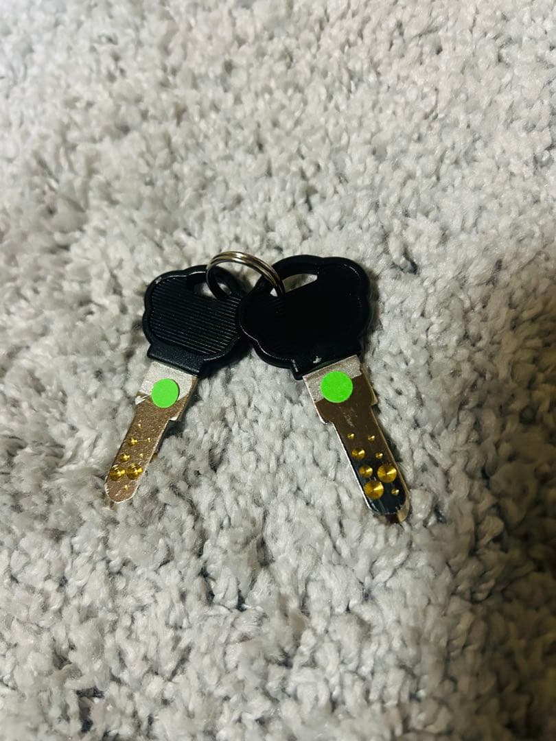 HORNET タイヤロック　Auto Security System