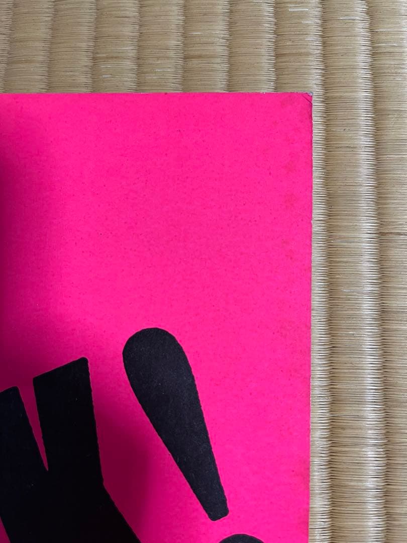 アート・デザイン・音楽 NOT ANOTHER PUNK BOOK