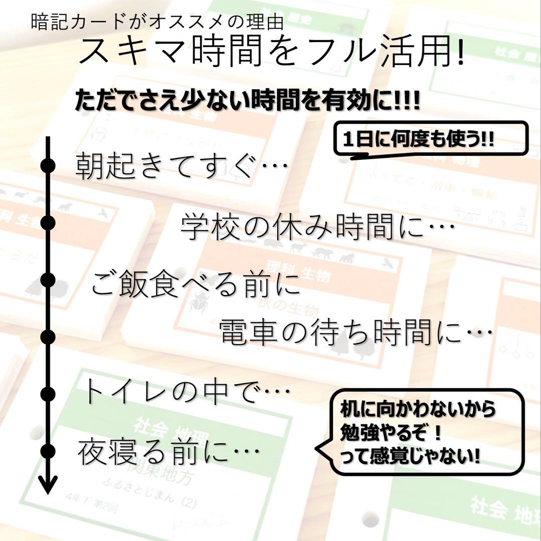 中学受験 暗記カード【4年上 理科 全セット 1-19回】組分けテスト対策