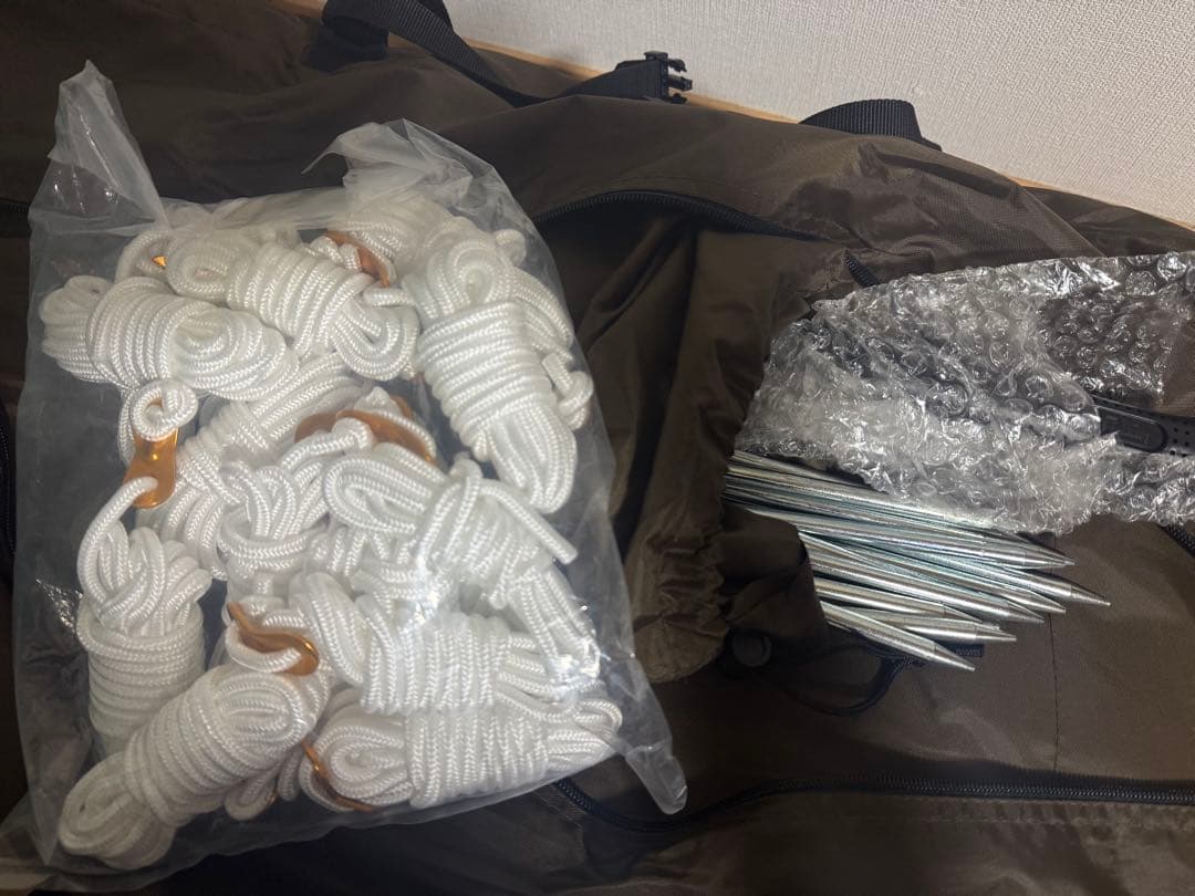 オガワ　Apollon S テント