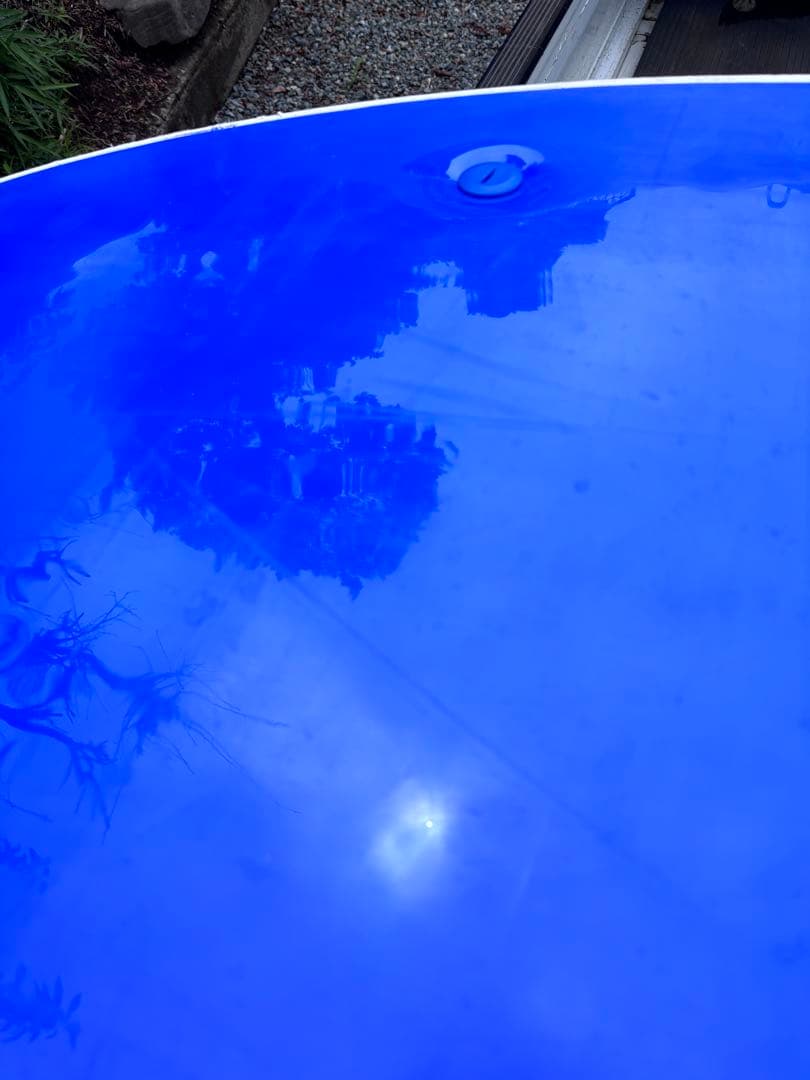 WAVESTORM サップ　　直接取引　神奈川　引き取り限定にてお願いいたします