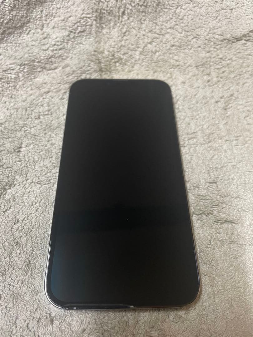 iPhone 13 Pro Max 1TB シエラブルー