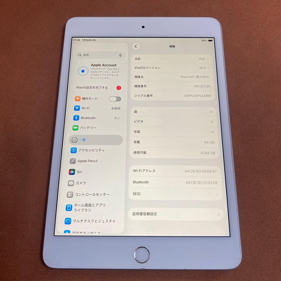 391【早い者勝ち】電池最良好☆iPad mini5 64GB WIFIモデル☆